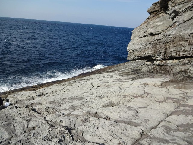 f:id:isohae:20210107101900j:image