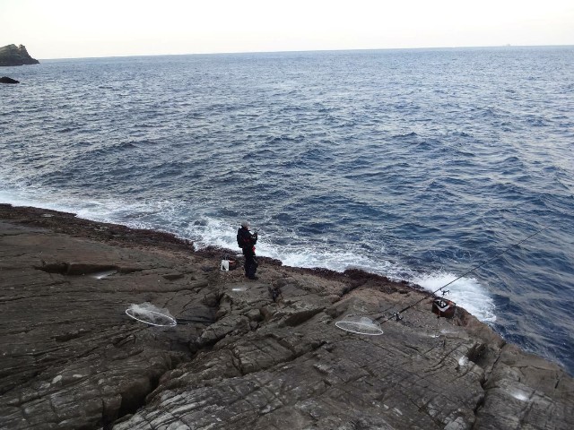 f:id:isohae:20210107101955j:image