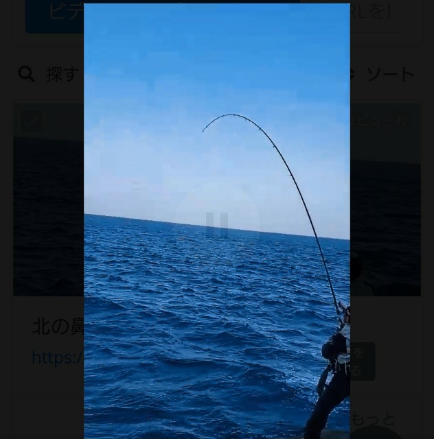 f:id:isohae:20210108073041j:image