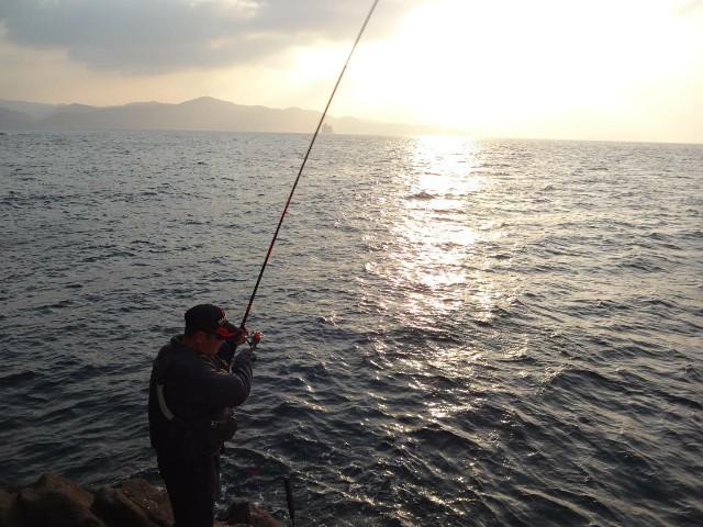f:id:isohae:20210208211043j:image f:id:isohae:20210208211043j:image