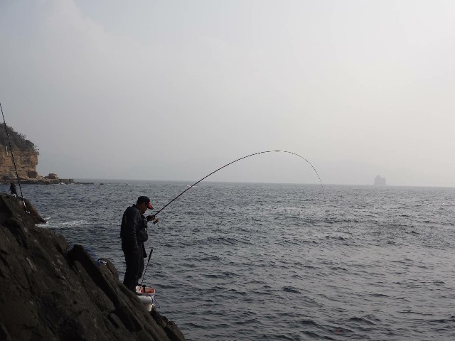 f:id:isohae:20210208211516j:image