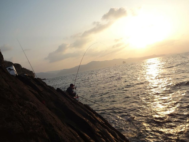 f:id:isohae:20210208211529j:image f:id:isohae:20210208211529j:image