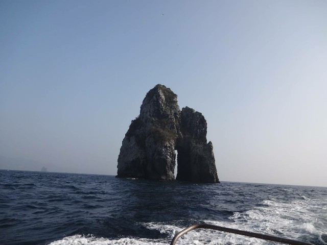 f:id:isohae:20210209102816j:image f:id:isohae:20210209102816j:image