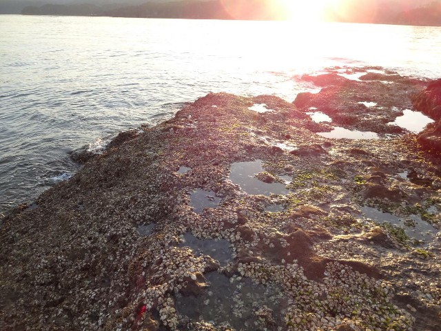 f:id:isohae:20210531124132j:image