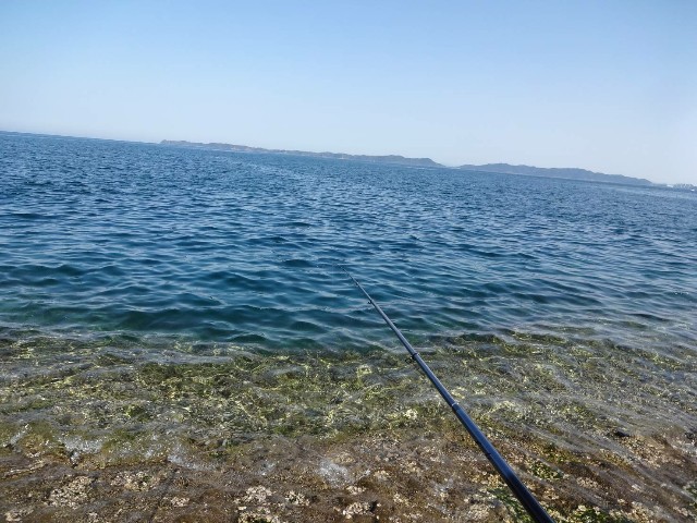 f:id:isohae:20210601074406j:image