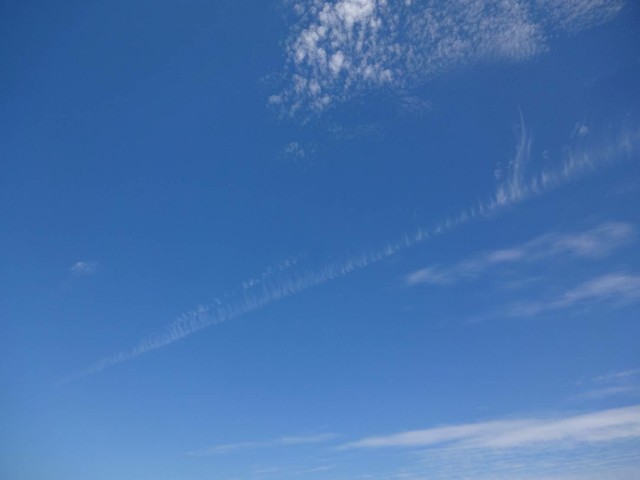 f:id:isohae:20210622052912j:image