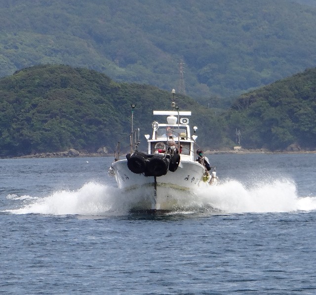 f:id:isohae:20210622062833j:image