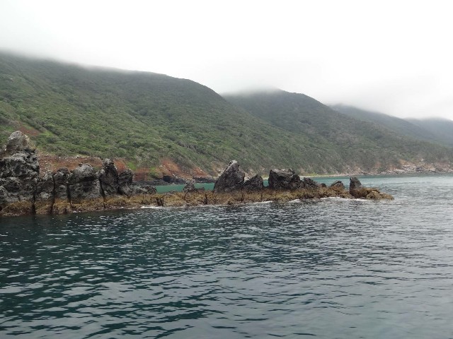 f:id:isohae:20210805203024j:image f:id:isohae:20210805203024j:image