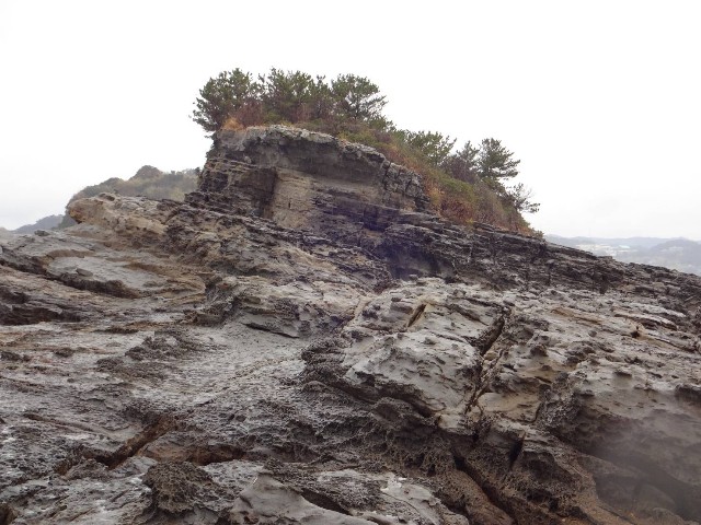 f:id:isohae:20220220095829j:image