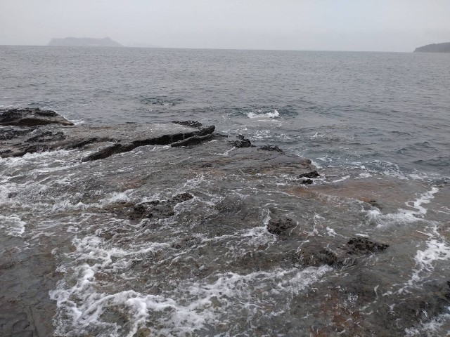 f:id:isohae:20220220141424j:image
