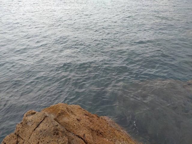 f:id:isohae:20220220141720j:image