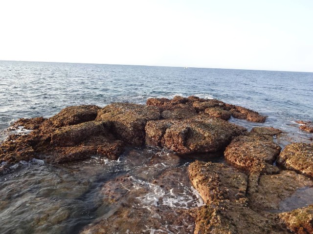 f:id:isohae:20220622063933j:image f:id:isohae:20220622063933j:image