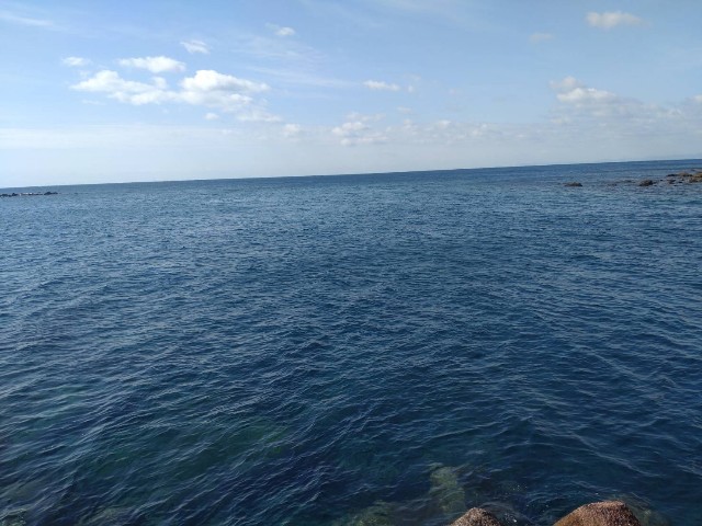 f:id:isohae:20230219095031j:image