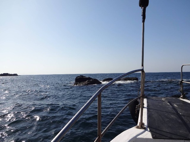 f:id:isohae:20230306152845j:image