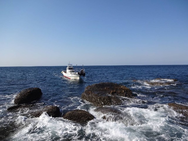 f:id:isohae:20230306153222j:image