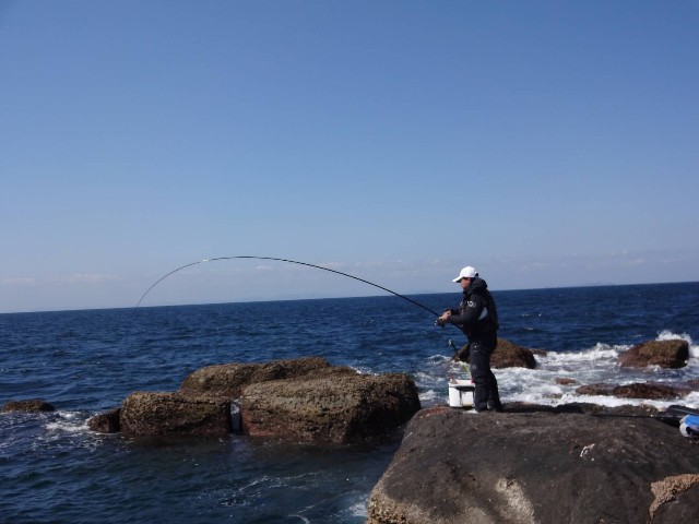 f:id:isohae:20230307204016j:image