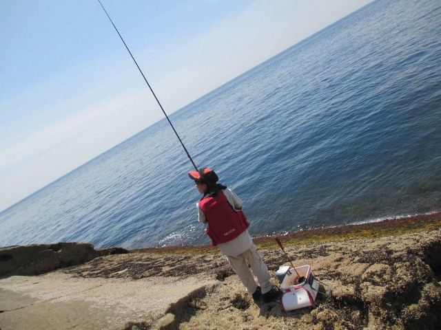 f:id:isohae:20230621075633j:image