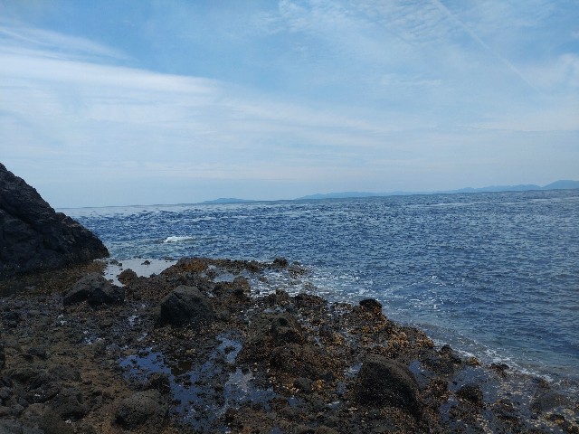 f:id:isohae:20230627064425j:image