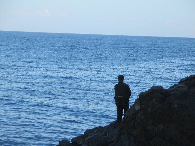 f:id:isohae:20231212153338j:image