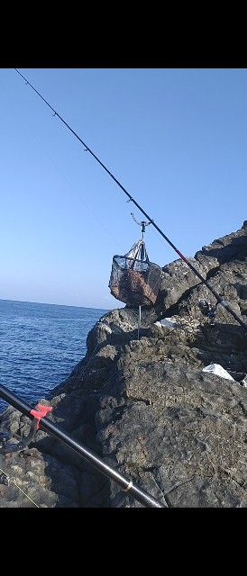f:id:isohae:20231213102510j:image
