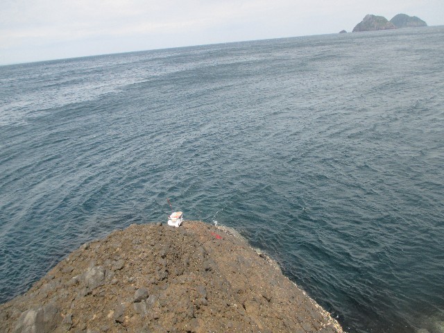 f:id:isohae:20240513161645j:image