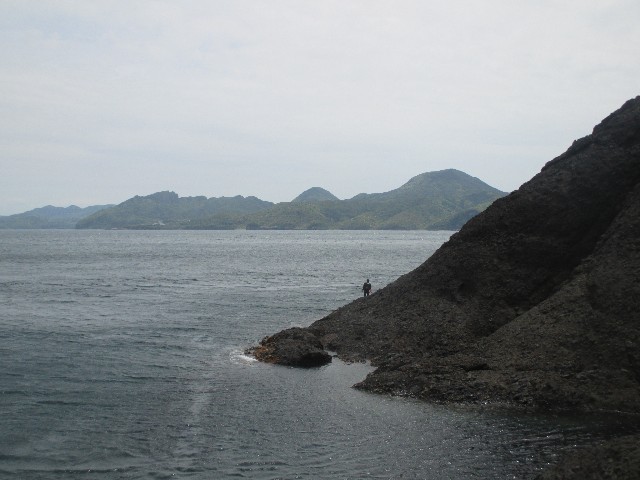 f:id:isohae:20240513161944j:image