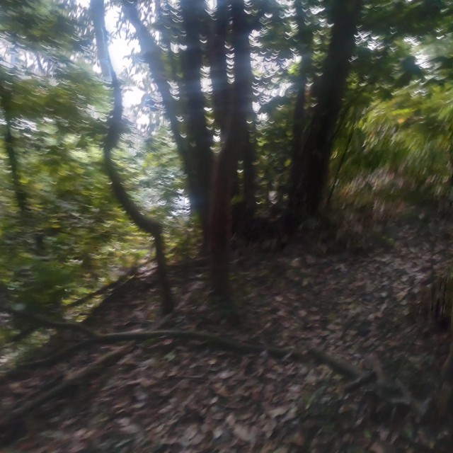 f:id:isohae:20240526160924j:image