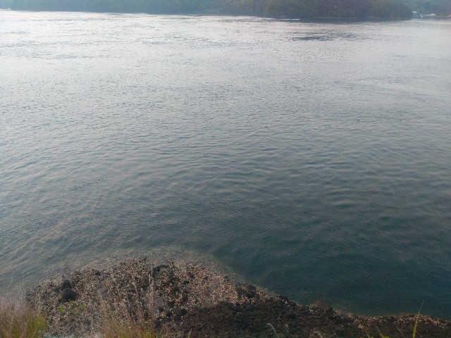 f:id:isohae:20240526161047j:image