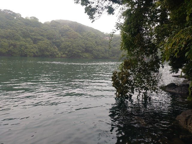f:id:isohae:20240612073454j:image