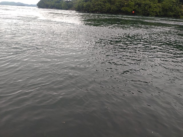 f:id:isohae:20240612190724j:image