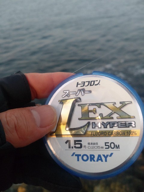 f:id:isohae:20241203075944j:image