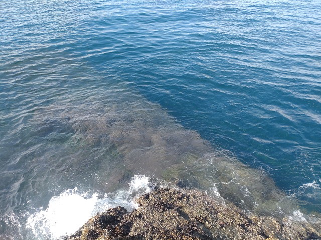 f:id:isohae:20241203204205j:image