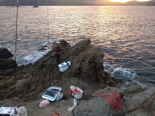 f:id:isohae:20241210065825j:image