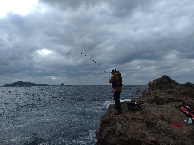 f:id:isohae:20241211192358j:image