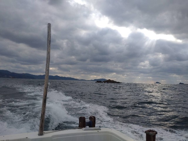 f:id:isohae:20241211192800j:image