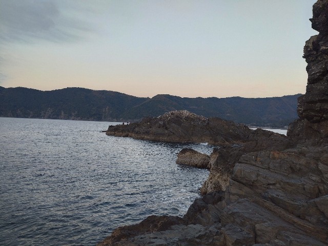 f:id:isohae:20241215203216j:image