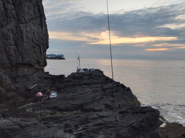 f:id:isohae:20241215203337j:image