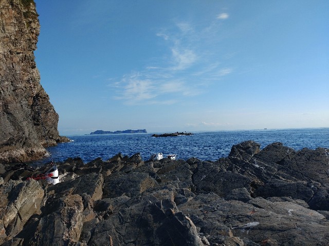f:id:isohae:20241216173240j:image