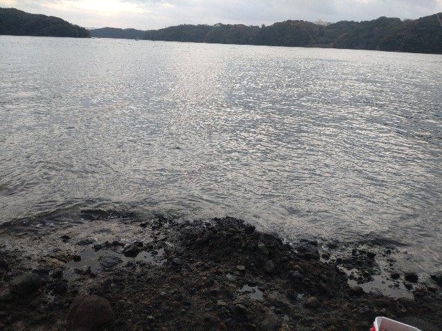 f:id:isohae:20250101192838j:image