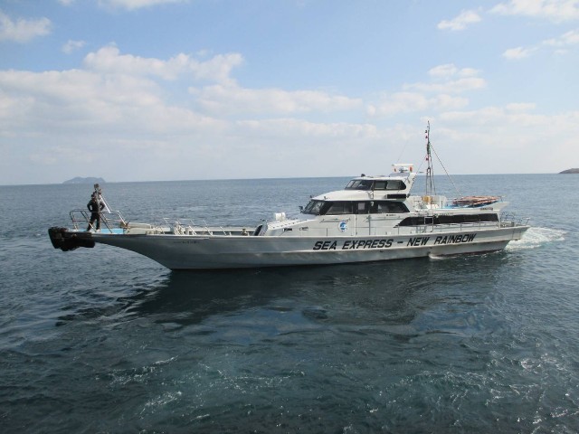 2025新年初釣り中五島釣行 - 暇さえあれば釣りに行こう