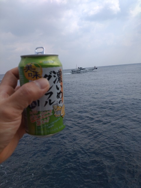 f:id:isohae:20250225124322j:image