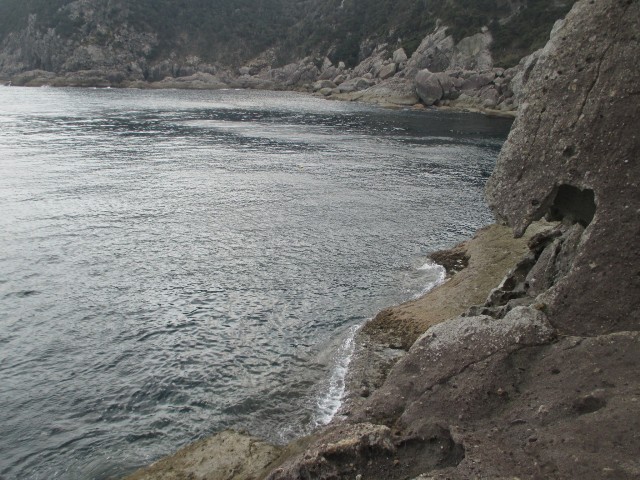 f:id:isohae:20250226075439j:image