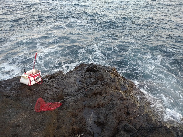 f:id:isohae:20250324062803j:image