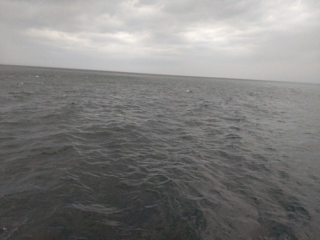 f:id:isohae:20250331162746j:image