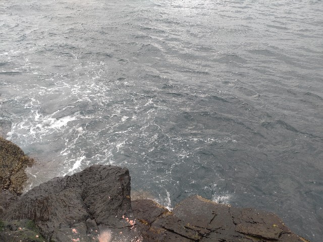 f:id:isohae:20250331162809j:image