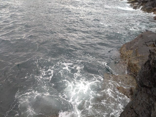 f:id:isohae:20250331162821j:image