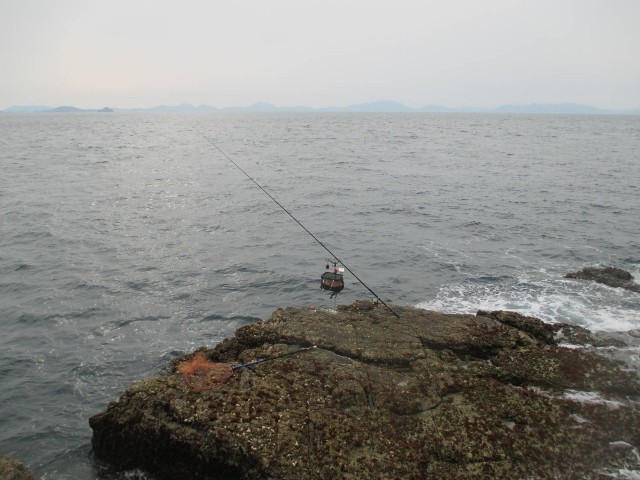 f:id:isohae:20250407062021j:image