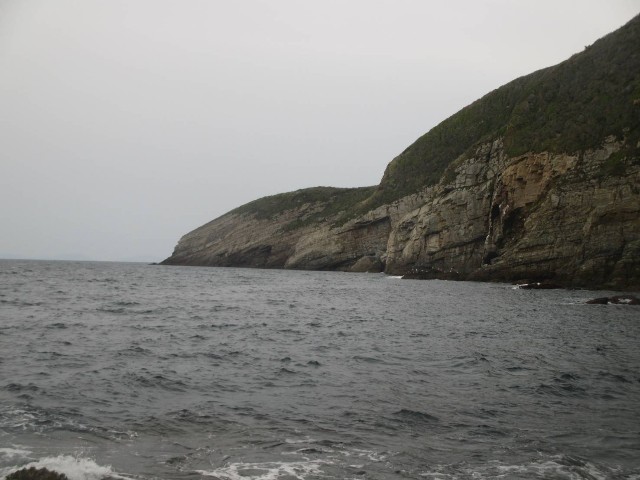 f:id:isohae:20250407062445j:image