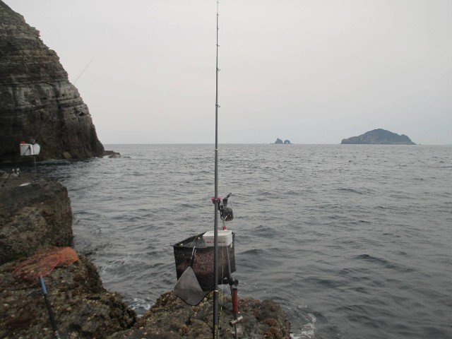 f:id:isohae:20250407062518j:image