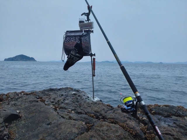f:id:isohae:20250407073525j:image
